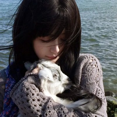 以法之名罪无可赦＆无赦之判